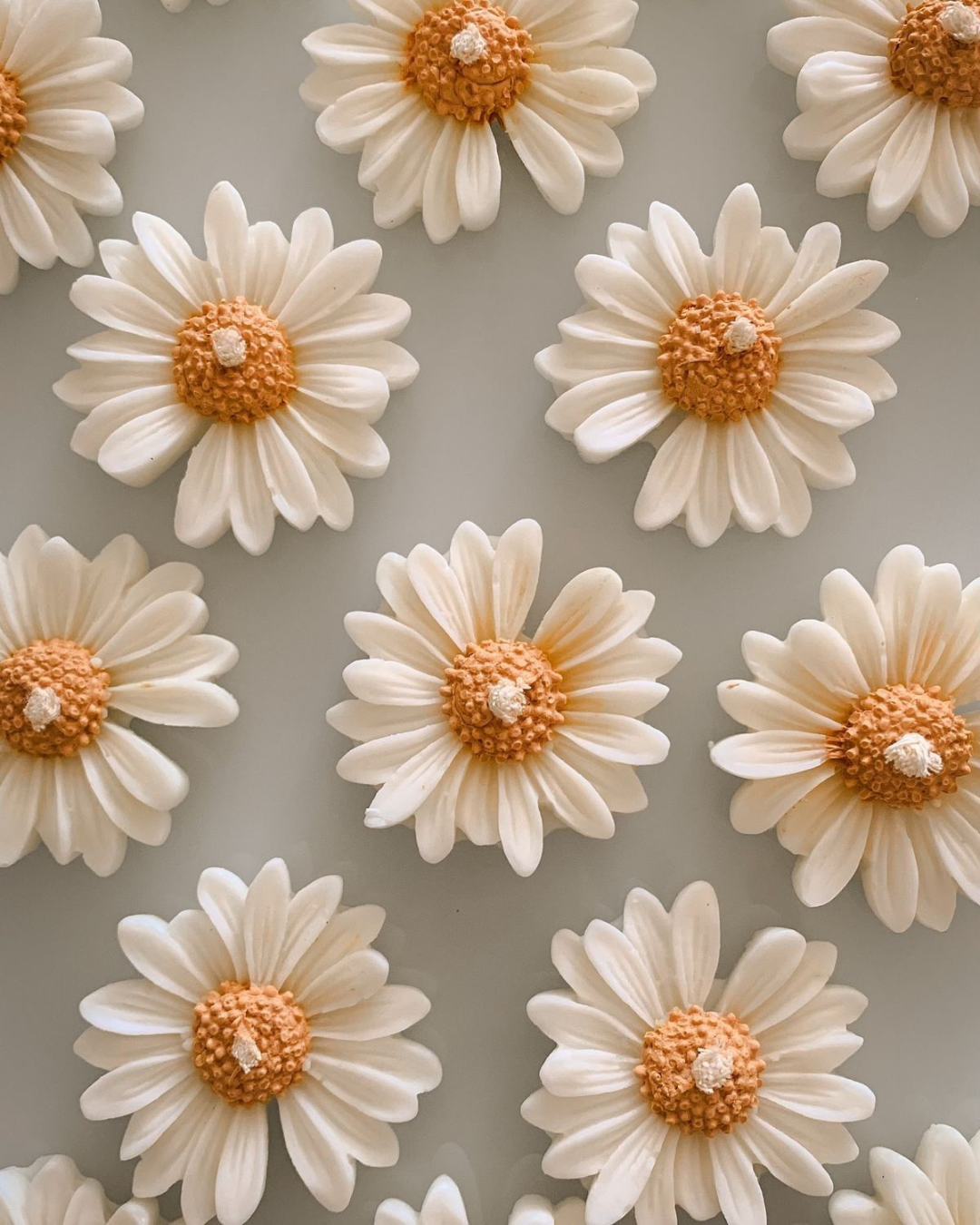 Daisy