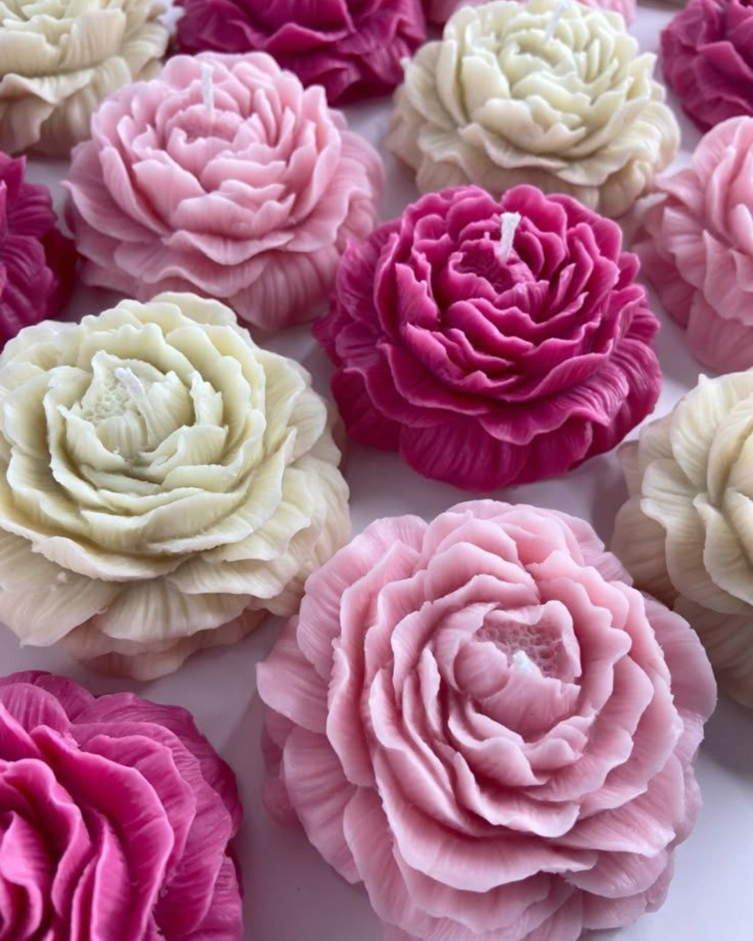 Peony