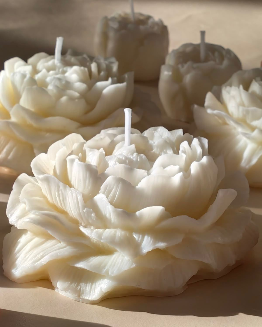 Peony