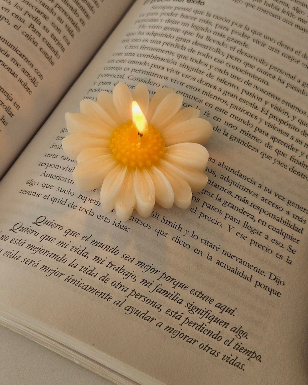 Daisy