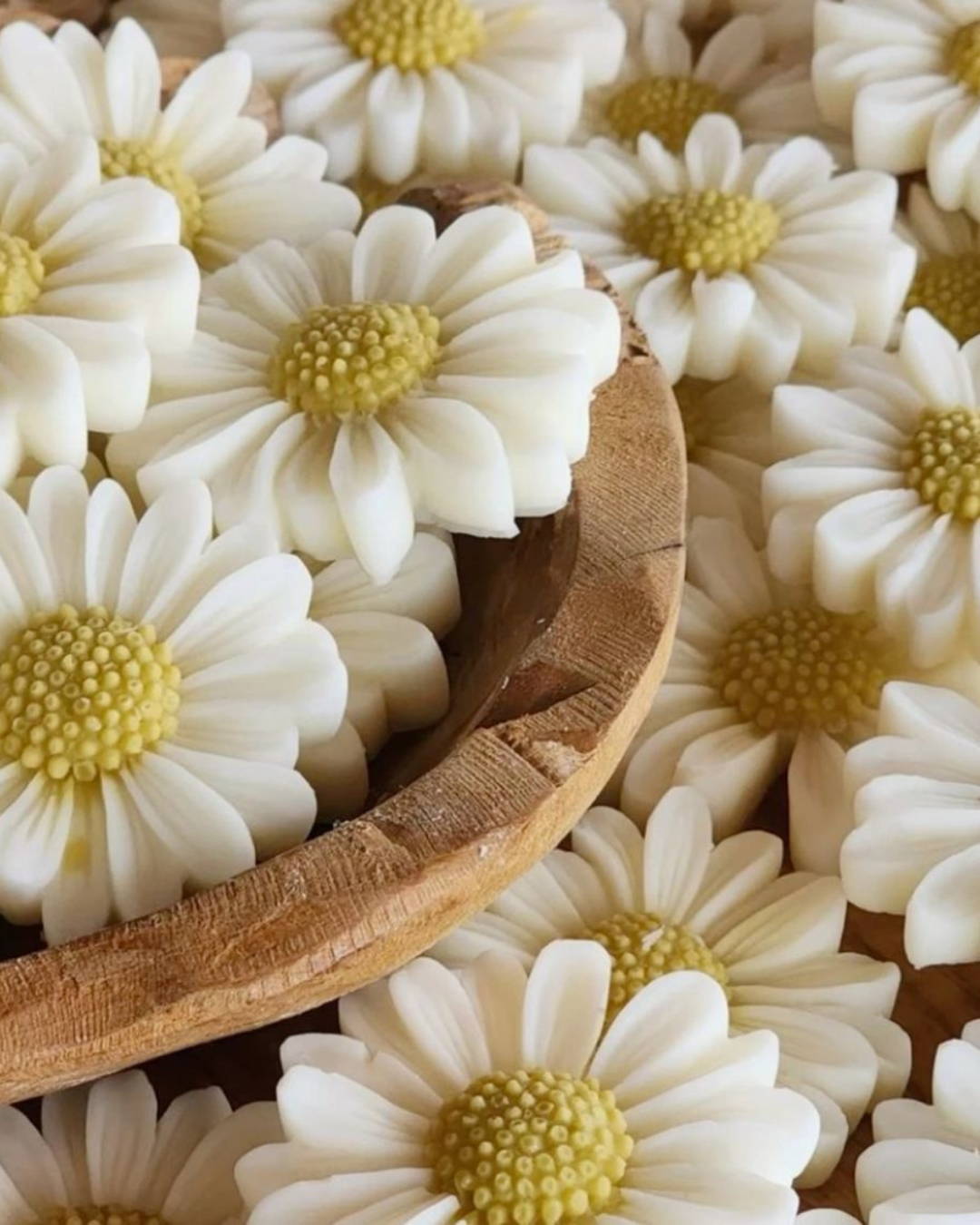 Daisy